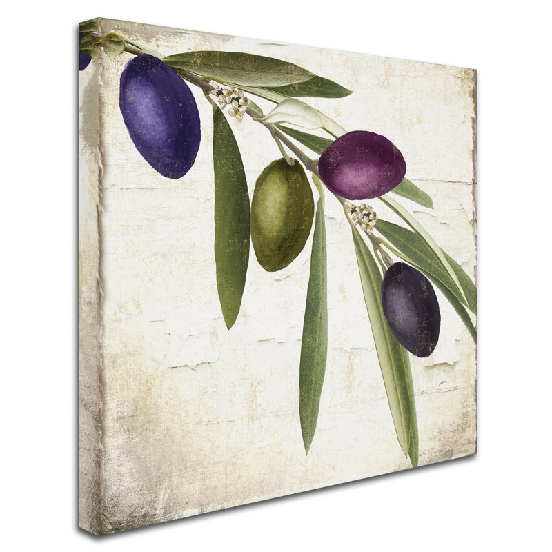 "Jadaya Olive Branch IV" par Color Bakery, reproduction d'art sur toile tendue, H 18 po x l 18 po x P 2 po