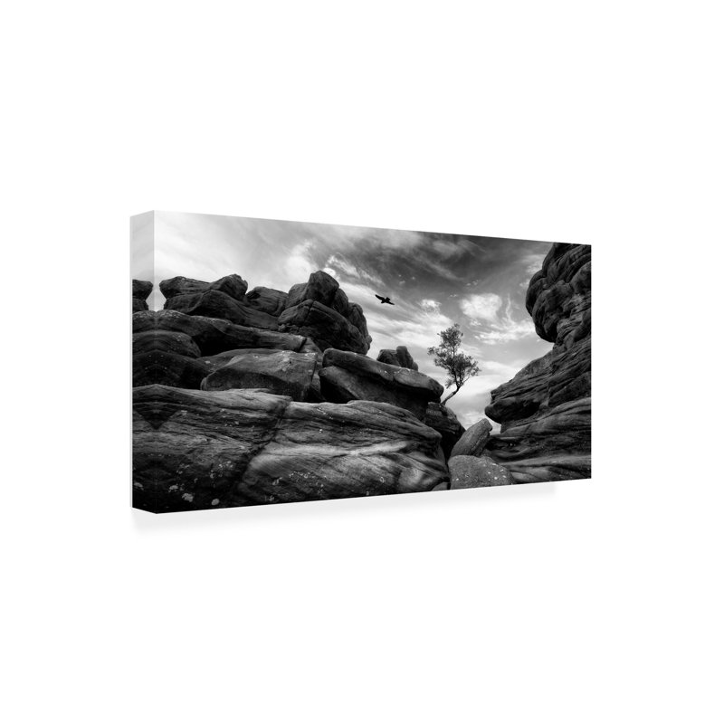 Art sur toile, Bolaire Adrian Baszczyk Brimham, H 16 po x l 32 po