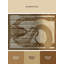 Tapis art déco lavable à la machine Pavanvir Naga - beige-1435813138