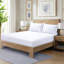 Ewoud Super Soft Microfiber Fitted Sheet – 25cm Deep Pocket, Brushed Finish-1870931931-1870931930