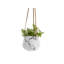 Tiggs Ceramic Hanging Planter-1001592598-1001608216