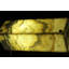 Lampe onyx beige Nubloso Crema