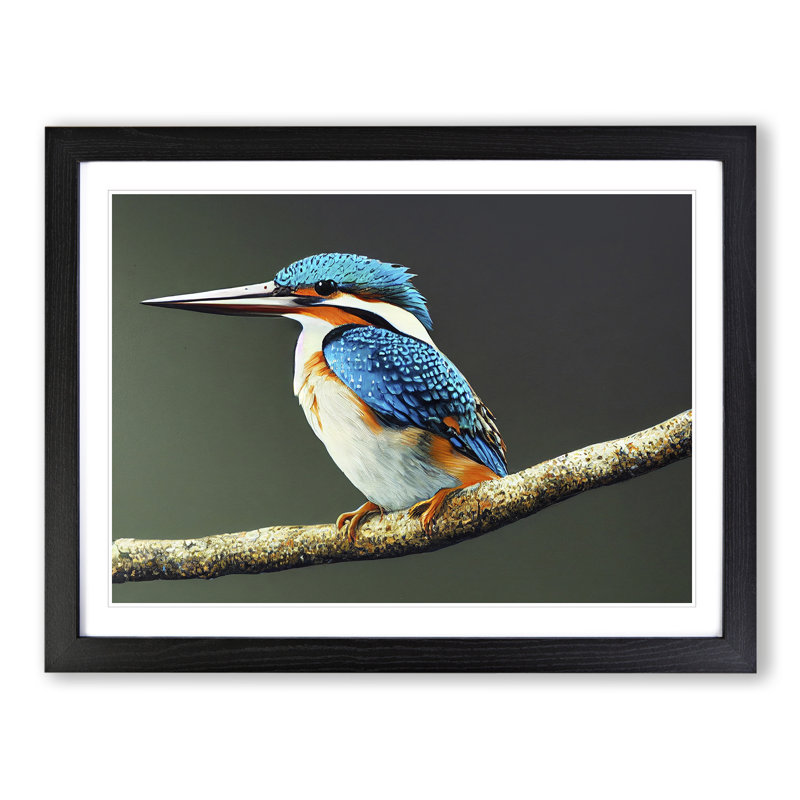 Captivating Kingfisher Bird - Single Picture Frame Print, 25cm H x 34cm W x 2cm D, Black