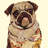" My Puggy " by Alex Zeng