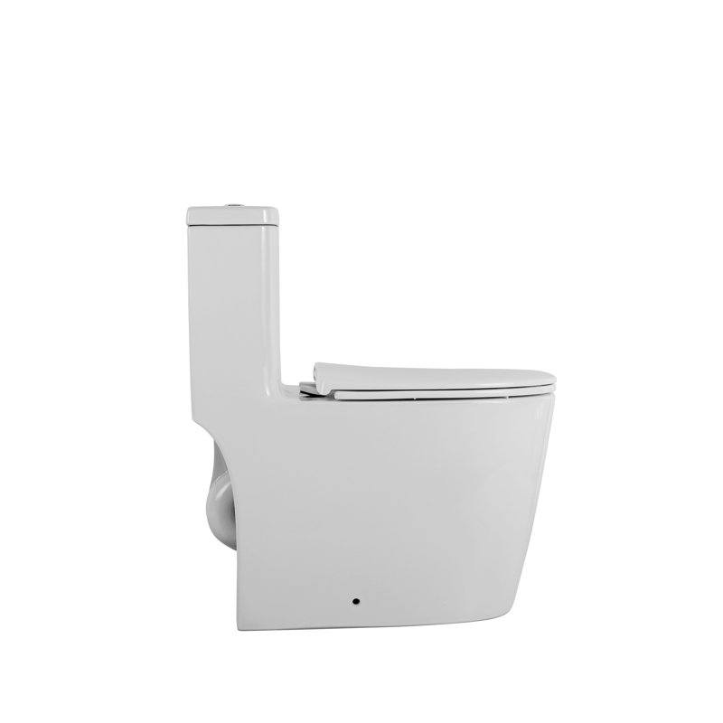 1.1/1.6 Toilet, Elongated, Ceramic, White, Comfortable, Soft Close Seat, & , T036wt White , Comfortable Height,