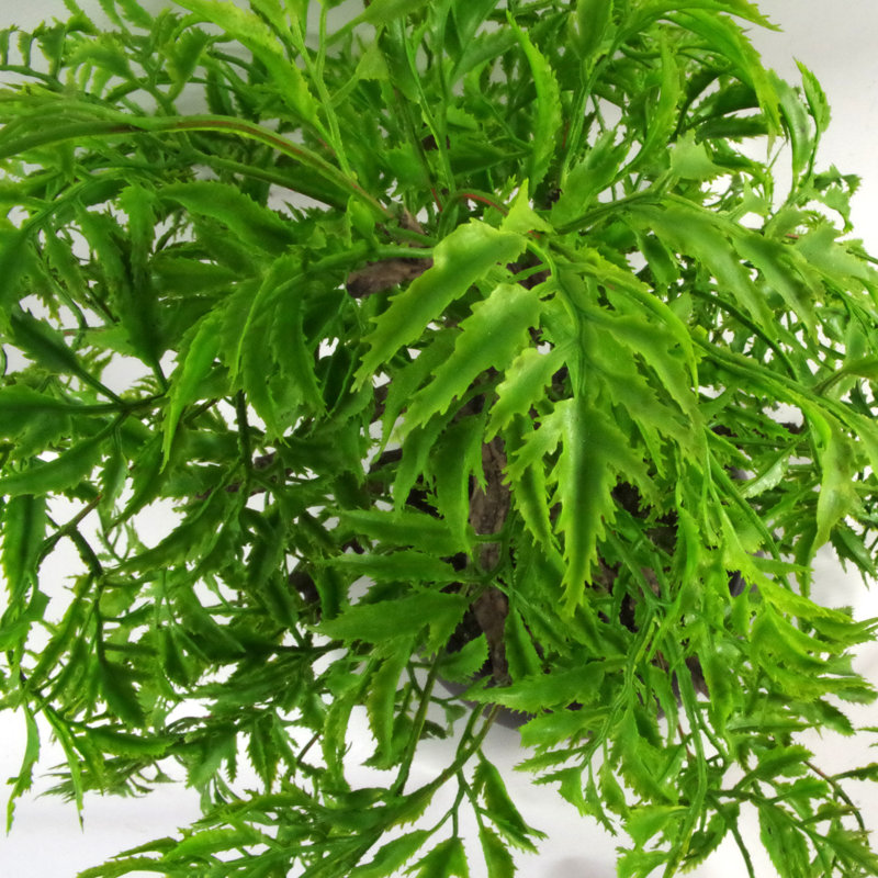 Anivea 50cm Faux Bonsai Tree in Pot