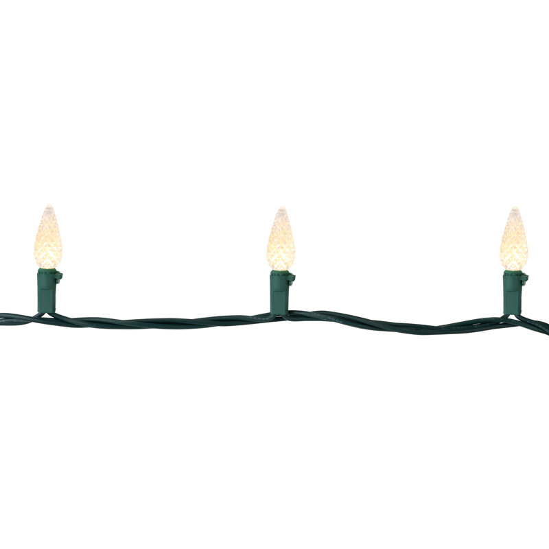 804'' LED String Lights, Warm White