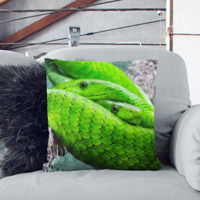 Square Cushion