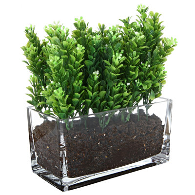 Jeilin Glass Pot Planter