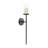 Blaise 14.0" Metal Wall Sconce-95762308-114543654