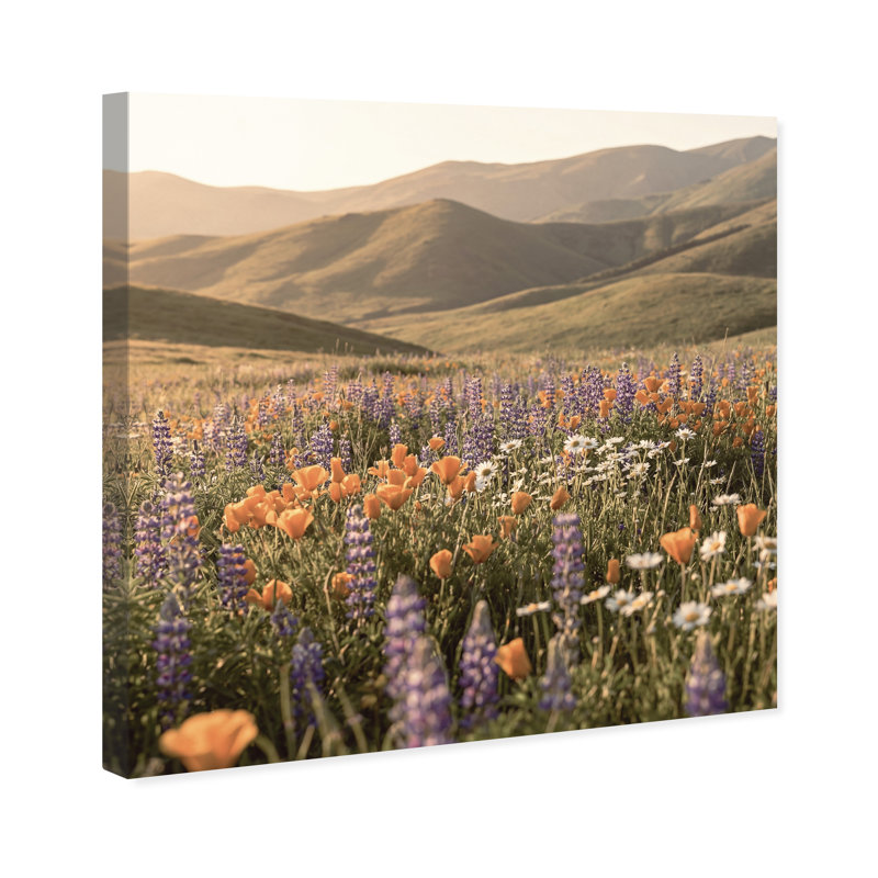 Lavender Hill Print by Oliver Gal, Gallery Wrapped, 24"H x 24"W