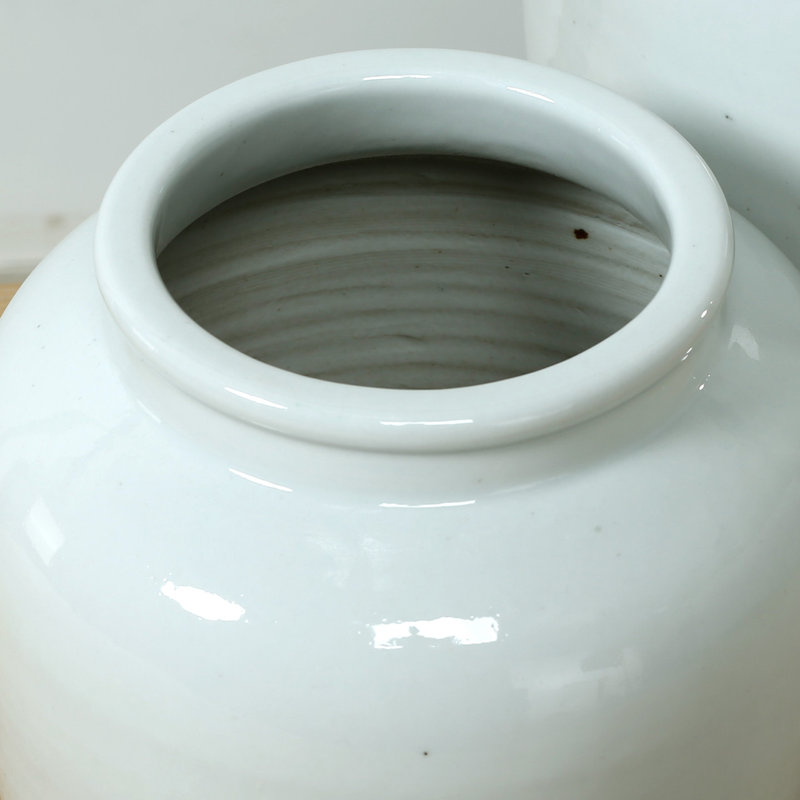 Brest Porcelain Table Vase, 10" H x 8.6" W x 8.6" D
