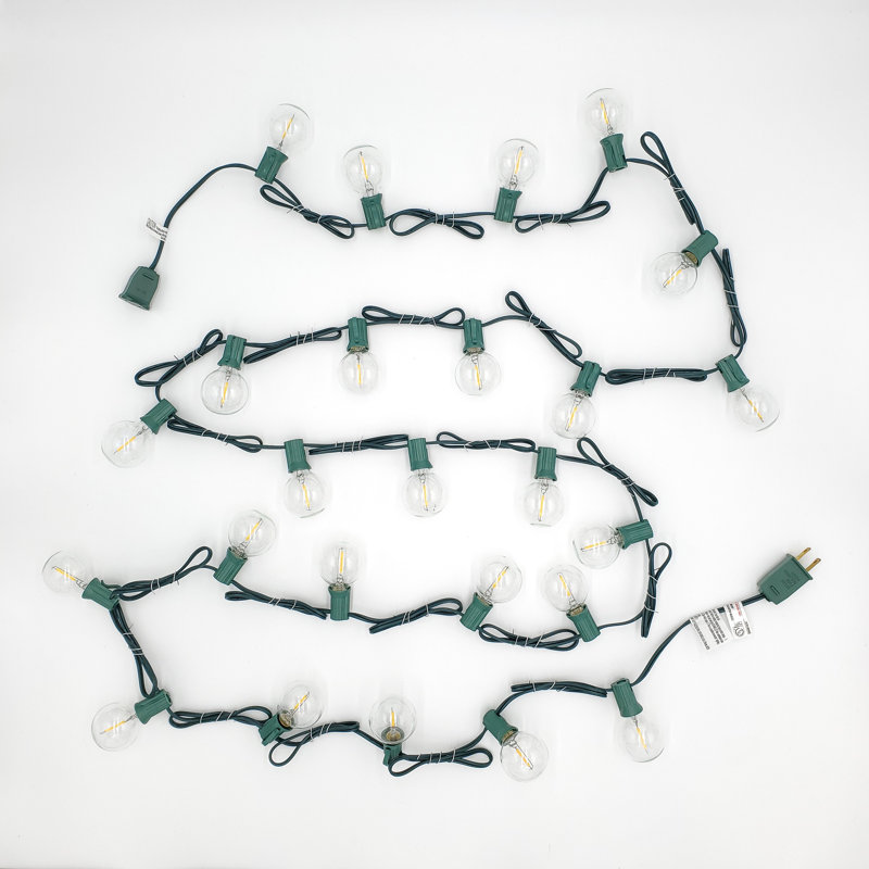 Bailey-Mai Electric LED Globe String Lights with 25 Clear Bulbs