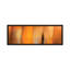 « mandarine on grey » par pi studio, reproduction d’impression sur toile tendue-31498181-73278229