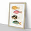 East Indies Fish Illustrations Fol. 28 by Louis Renard - Picture Frame Painting Print-55547422-55547423