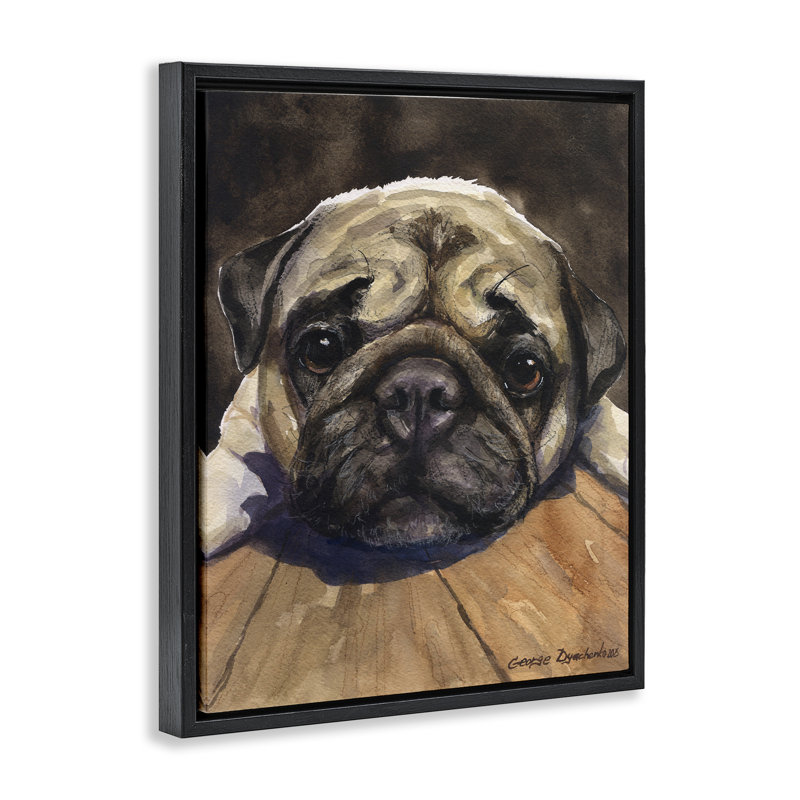 Cadre flottant Pug Soulful Portrait, conception de George Dyachenko, Cadre flottant noir de jais, H 21 po x l 17 po