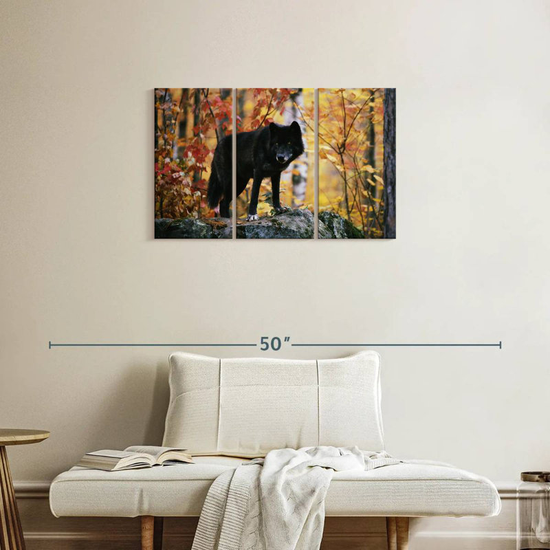 Autumn Black Wolf, 20" H x 33" W