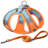 No Pull Dog Harness and Leash Set, Step in Adjustable Dog Harness with Padded Vest for All Weather, Dog Leash with Soft Padded Handle, Easy to Put on Small and Medium Dogs Pure Blue-orange M