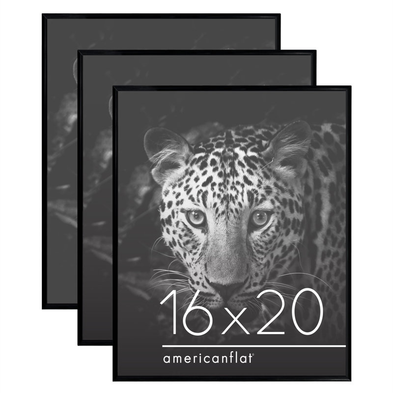 Malaya 3 Pack Lightweight Poster Frames Slide-In Photo Frames with Buildable Moulding, 16" x 20"