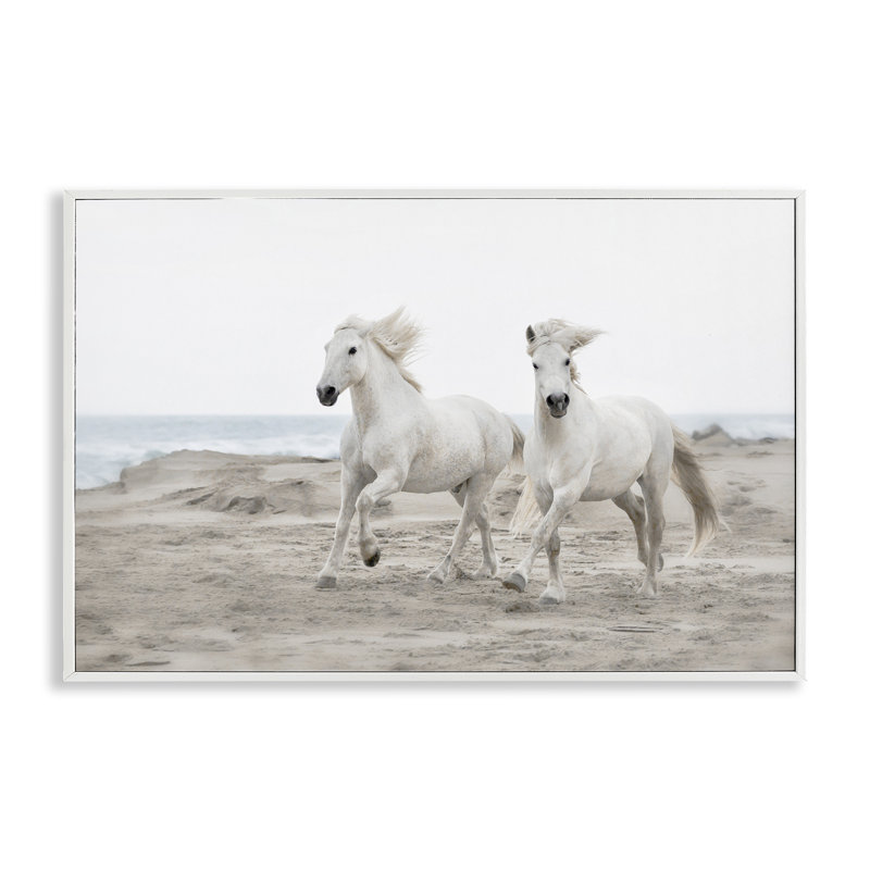 Giclée encadrée, dessin par Danita Delimont, H 12 po x l 18 po, Estampe numérique encadrée blanc bord de mer