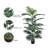 50" Tall Artificial Palm Tree in Pot