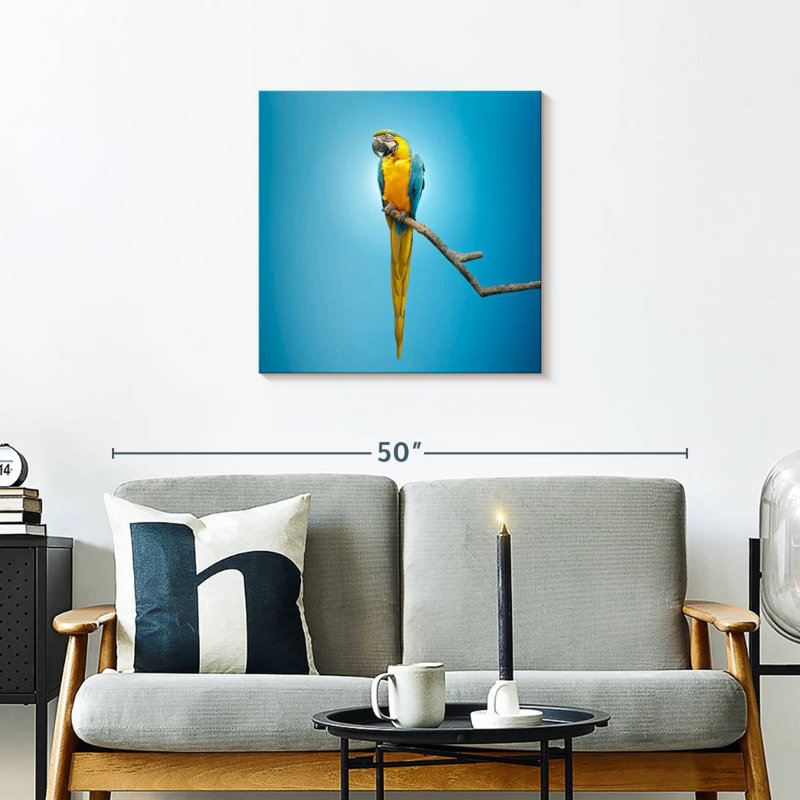 Crowle Macaw, 24" H x 24" W