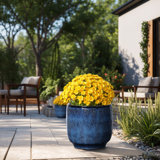 Ocean Round Ceramic Planter