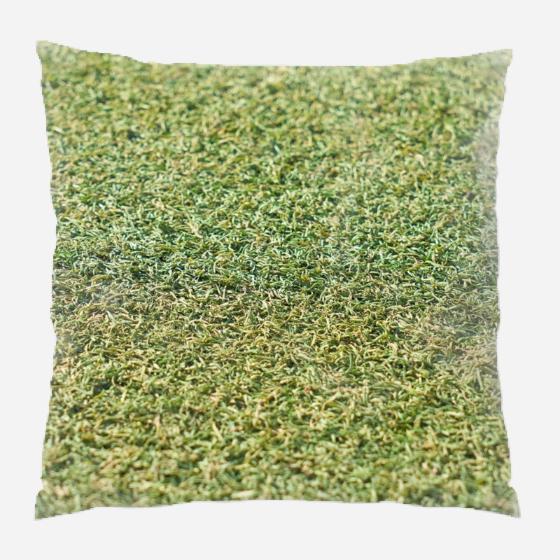 Coussin décoratif Wall