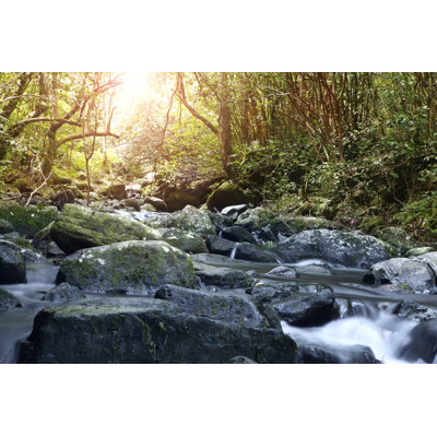Black River Gorges National Park 1 Piece Wrapped Canvas Wall Art