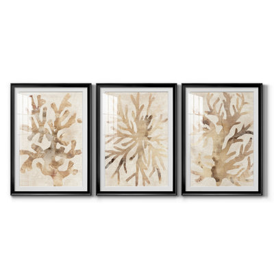 Parchment Coral I - 3 Piece Single Picture Frame Painting Set