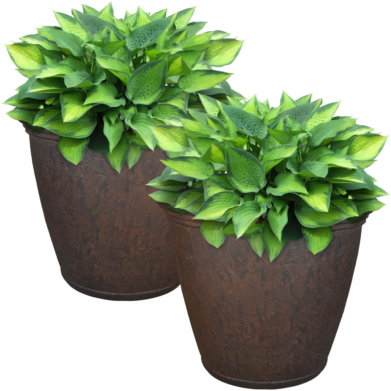 Kristie Round Polyresin Outdoor Planter Pot with a Weather-Resistant Finish, Set of 2