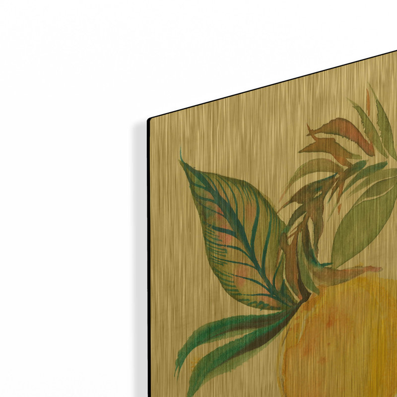 « Citrus Summer 1 v2 » de Kristy Rice, tableau mural en métal doré, 91,4 cm x 61 cm, 36"x24"