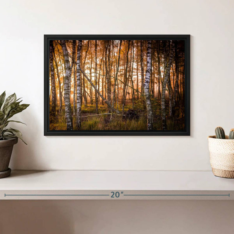 Forêt de bouleaux sombre, Cadre flottant noir, 13 po x 9 po