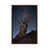 Classic Brown Wood Framed Canvas is unavailable