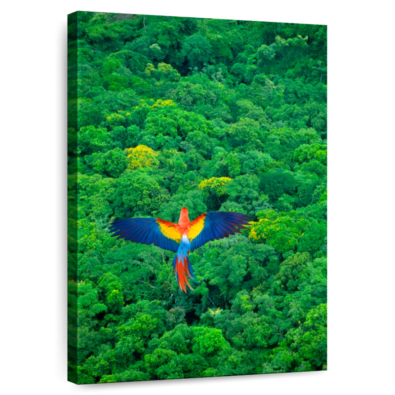 Brampt Rainforest Scarlet Macaw, 45" H x 30" W