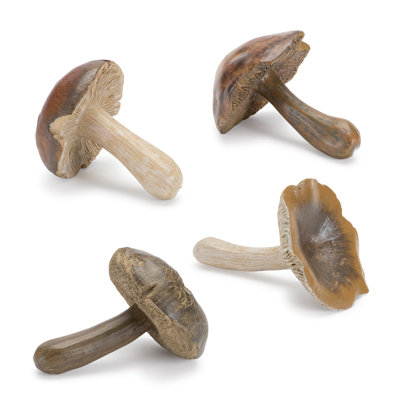 Ensemble de 12 tablettes en pierre Stone