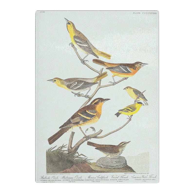 Tempered Glass a Collection of Birds Chopping Board, 20 cm W x 28.5 cm L