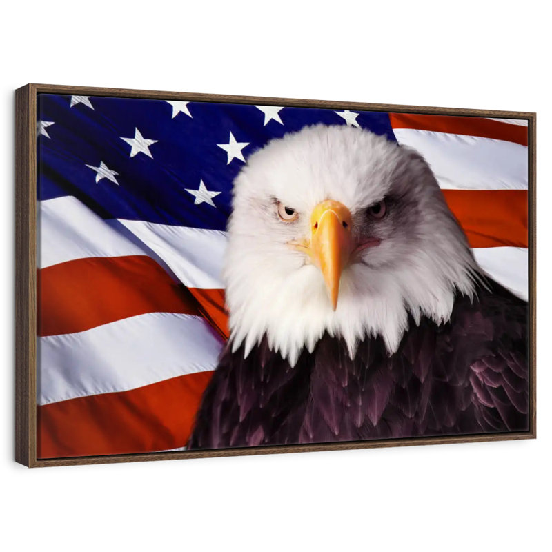 Drapeau américain, aigle à tête blanche, 25 po x 17 po, Cadre flottant en noyer