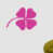 Rose vif