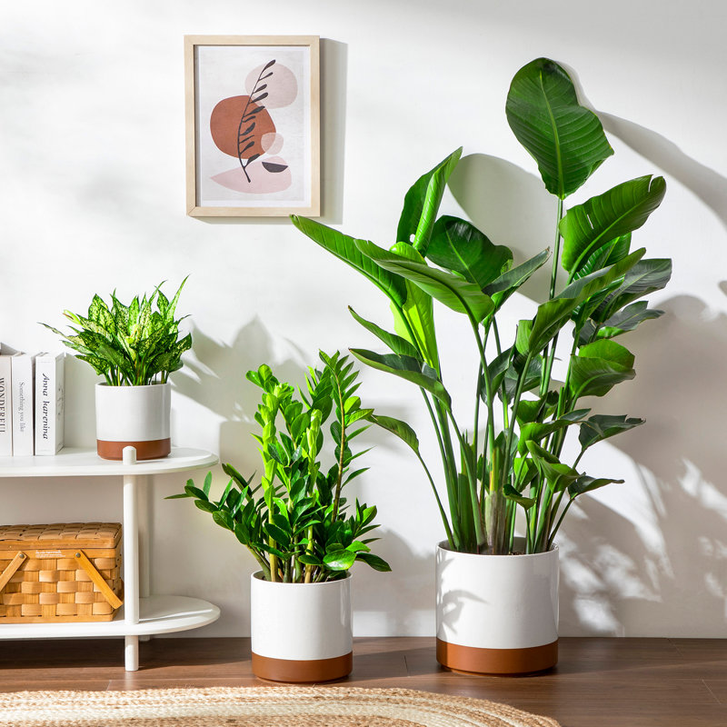 ZTHPOT Ceramic Pot Planter, Khaki