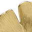 Ginkgo Sculpture-22694793