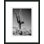 Black And White Cactus 2 Print by Christopher Kennedy