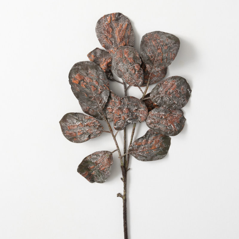 Leaf Arrangement