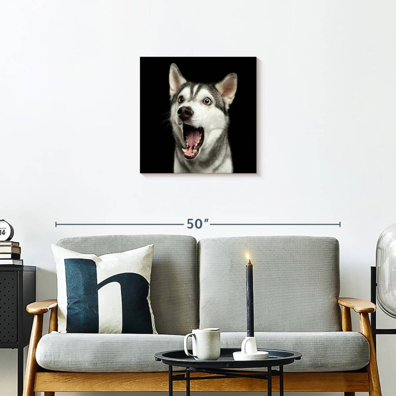 Brampt Surprised Siberian Husky, 20" H x 20" W