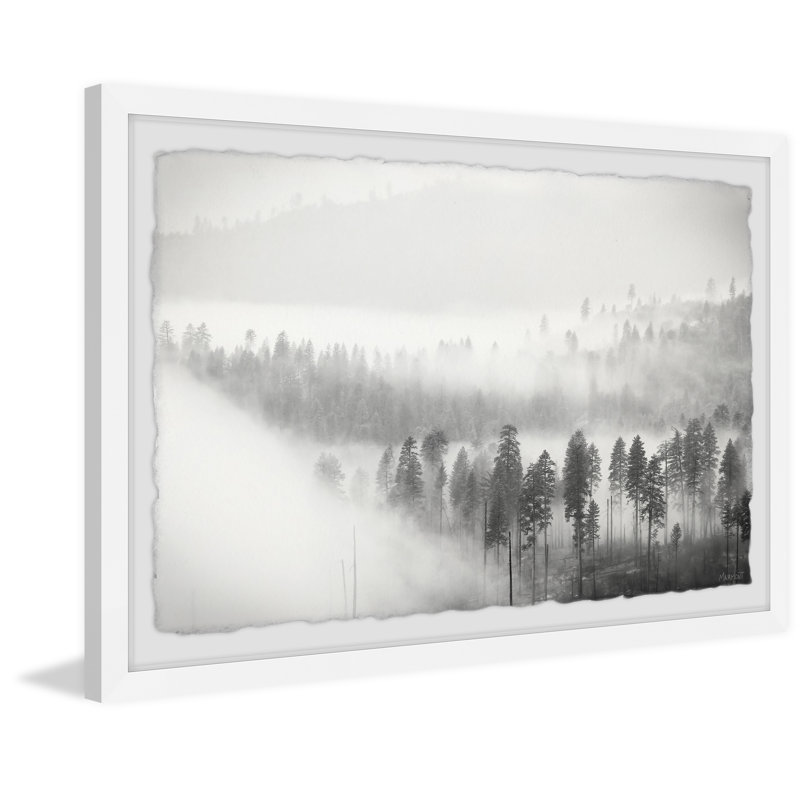 Foggy Scenery - Single Picture Frame Print, 41cm H x 61cm W x 3.81cm D