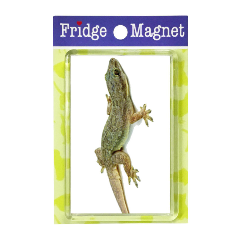 Fridge Magnet