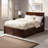 Maud Solid Wood Platform Bed with Footboard & Full Trundle-848237112