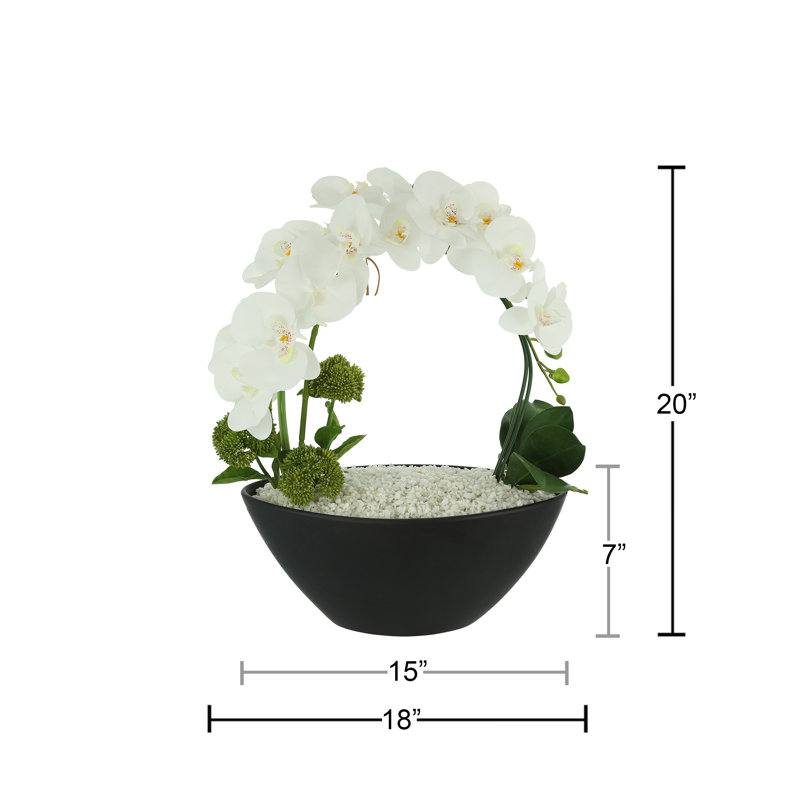 Orchids and Sedum Arranged in Ceramic Vase