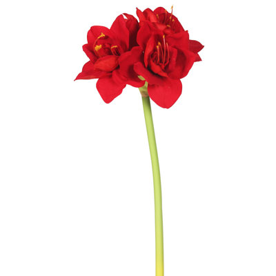 Tige de amaryllis simple velours