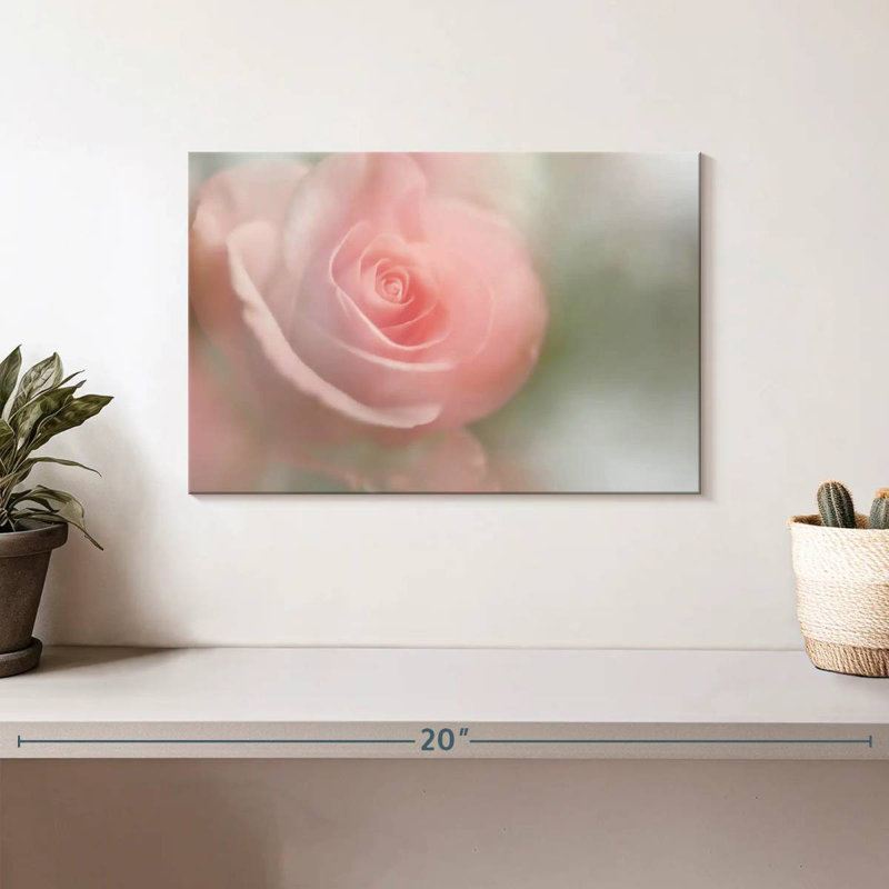 Harnek Soft Rose I